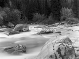 BWW-022 - Greys River Fall Colors #2
