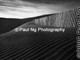 BWW-001 - Fence, Killpecker Sand Dunes