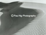 BWW-004 - Soft Afternoon Light, Killpecker Sand Dunes