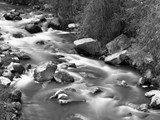 BWW-009 - Sheep Creek, UT