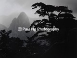 BW-008 - Sunrise, Huangshan, China