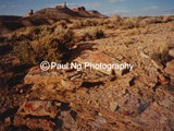 CWY-009 - Chimney Peak, Highest Point in Wyoming