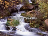 CWY-016 -  Big Spring, Sheep Creek Canyon