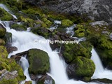 CWY-039 - Periodic Springs, near Afton, WY